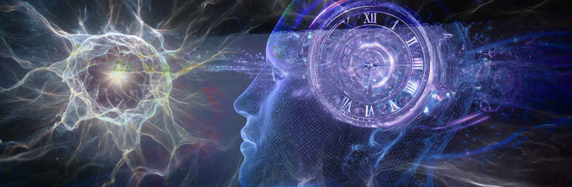 Scientists Propose ‘Fractal Time Crystals’ Inside Cells, Reviving Quantum Theory of Consciousness