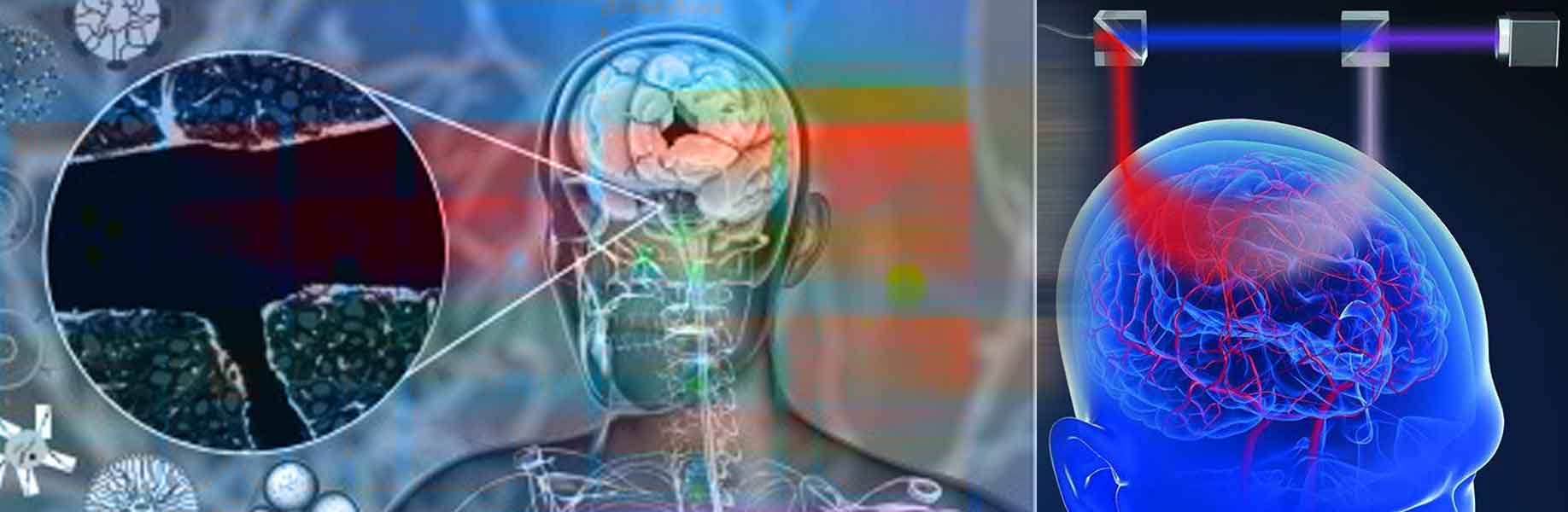 Blood-catalyzed polymer enables wireless optical control of brain activity