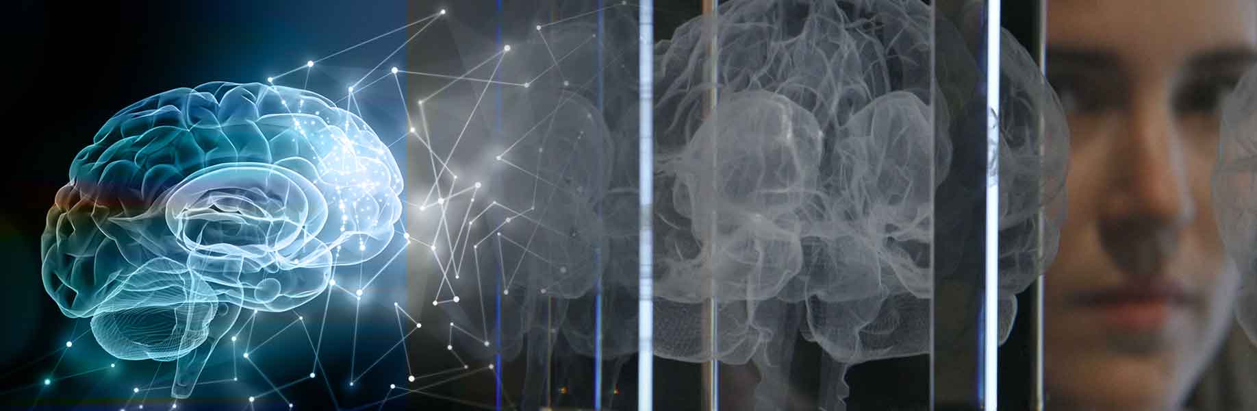 Company plans to offer brain preservation technique to terminally ill patients