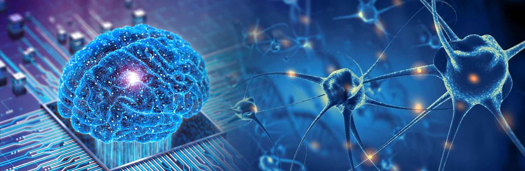 Machine learning computations with living brain cells