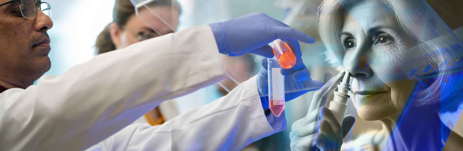 Nasal spray reduces brain inflammation and improves memory in aging models
