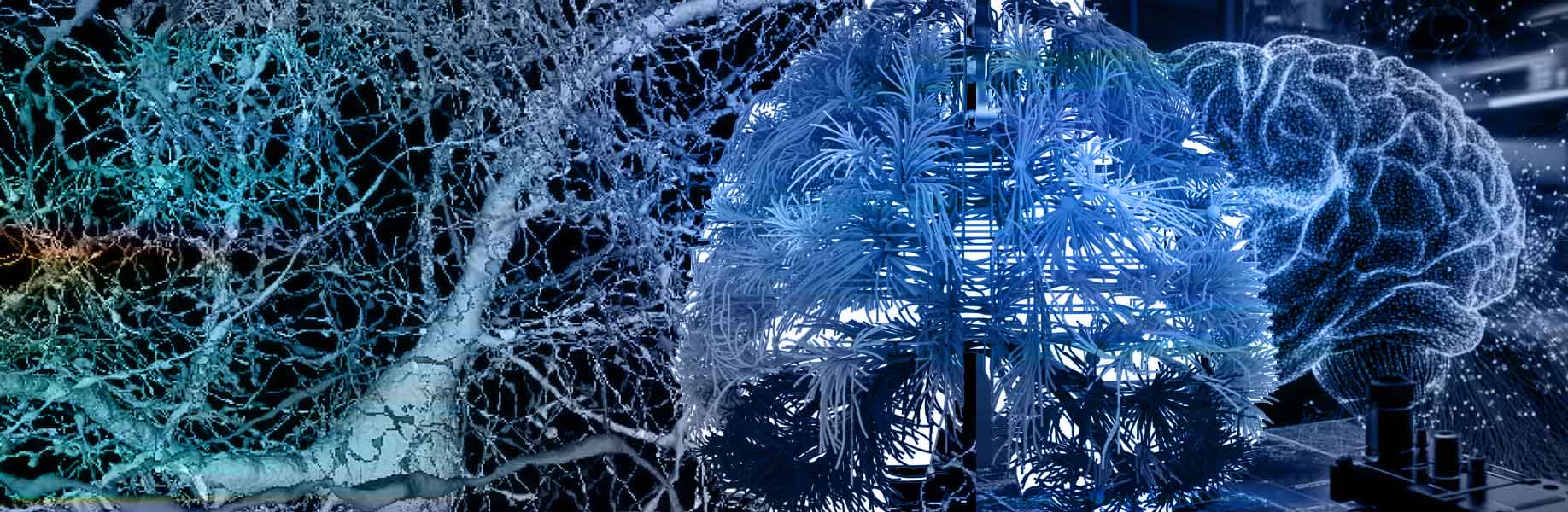 New method maps thousands of brain connections with single-synapse detail