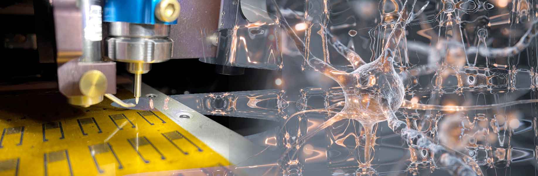 Printed artificial neurons communicate with living brain cells
