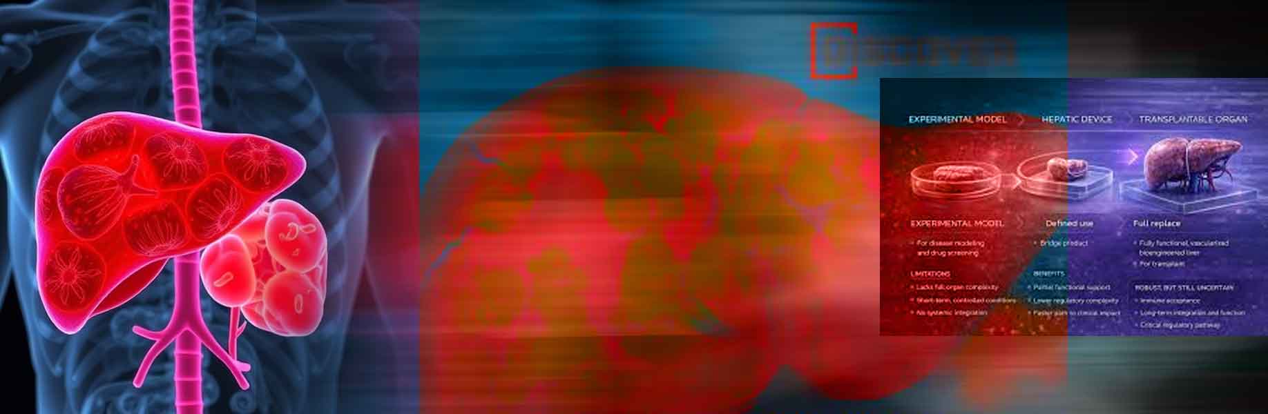Researchers develop method to grow implanted liver tissue on demand