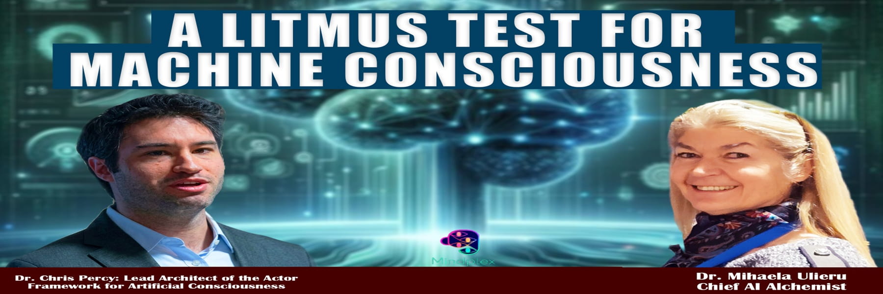 A Litmus Test for Machine Consciousness