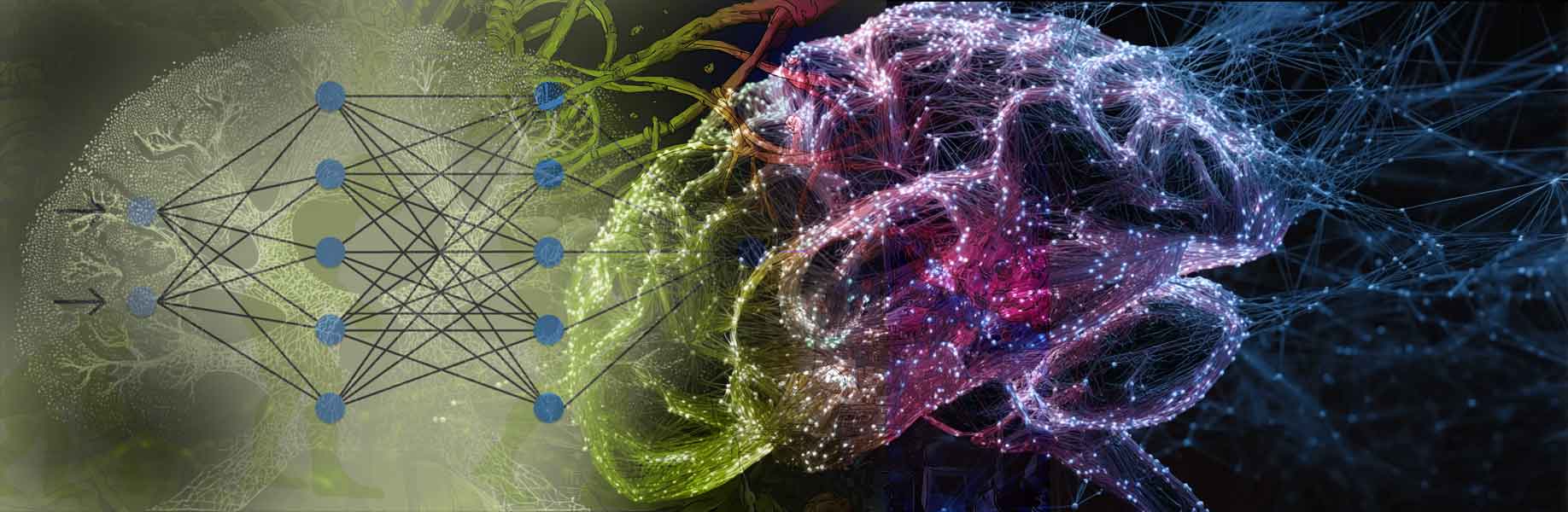 Building Better Brains: The NeuroEvolution of Augmenting Topologies