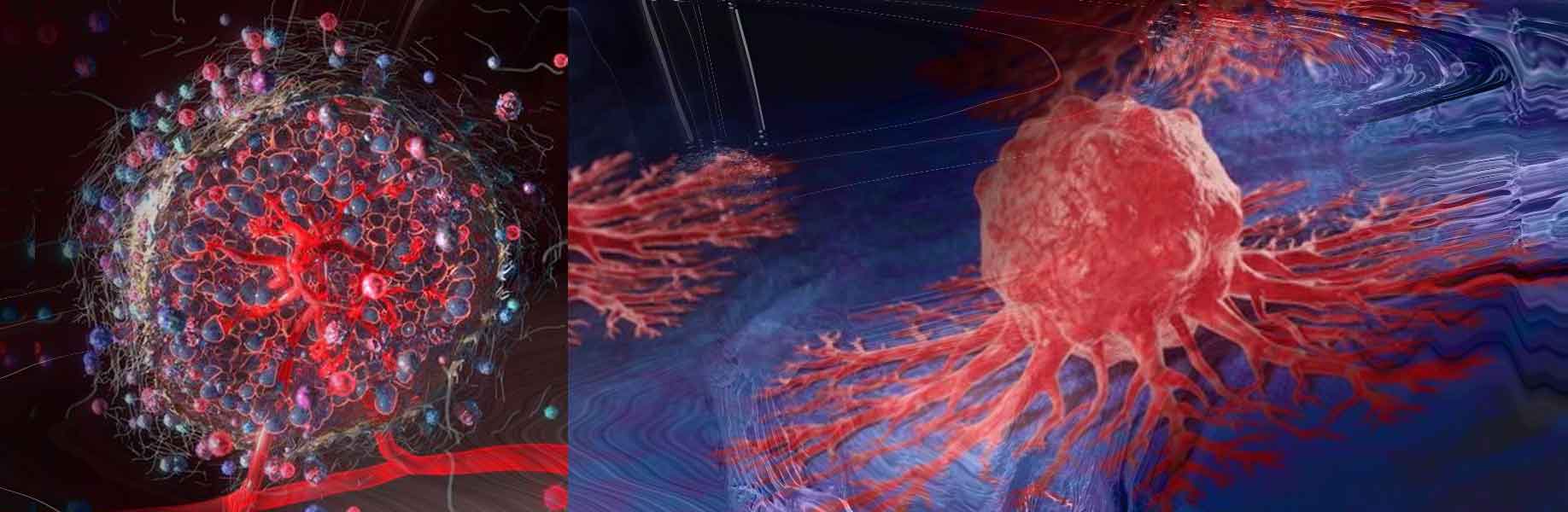New hypothesis reframes cancer as an adaptive biological response