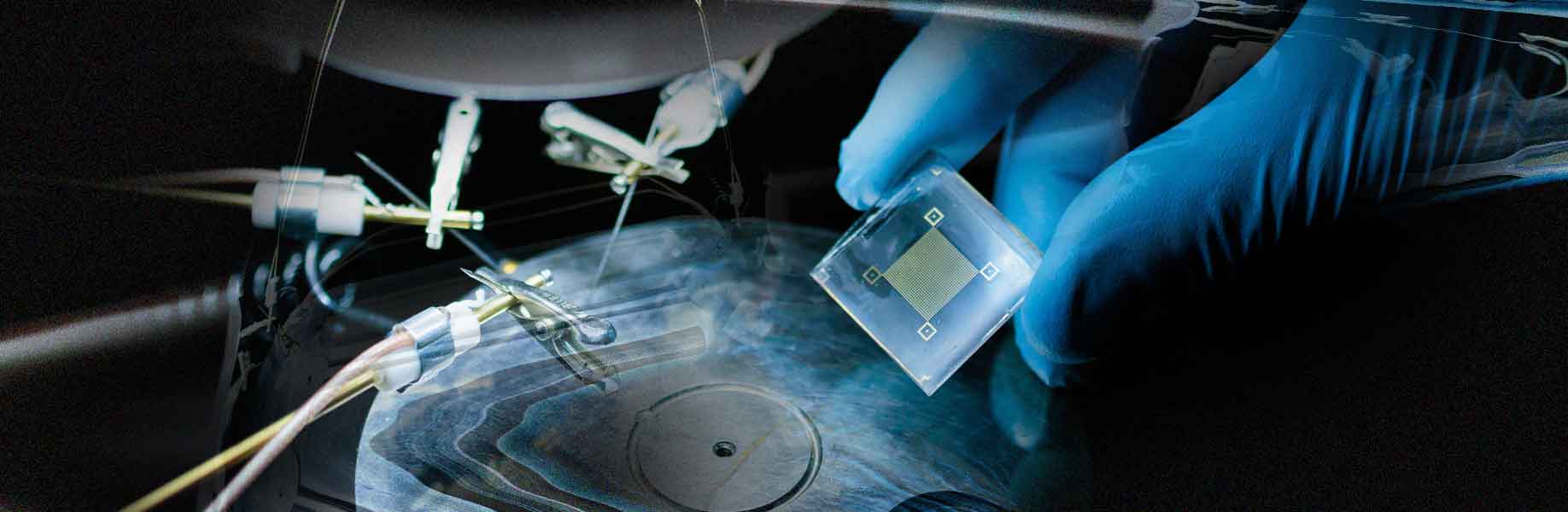 New stretchable patch brings AI directly to human skin