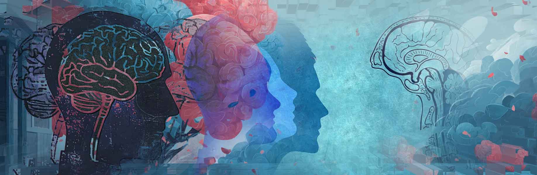 When the Brain's Guards Lose Their Memory