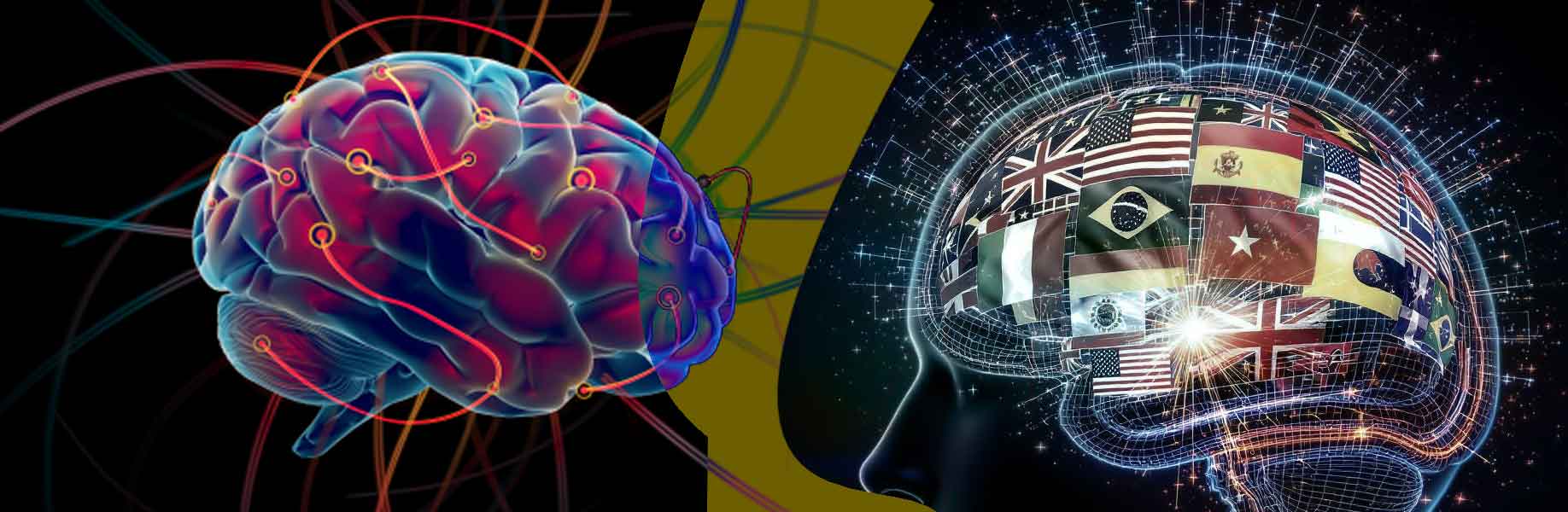 Brain organizes meaning similarly across languages for bilingual speakers