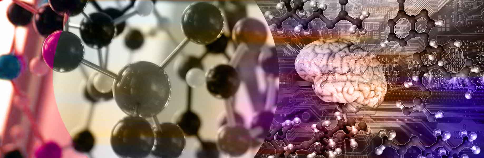 New AI model accelerates molecular simulations for drug development