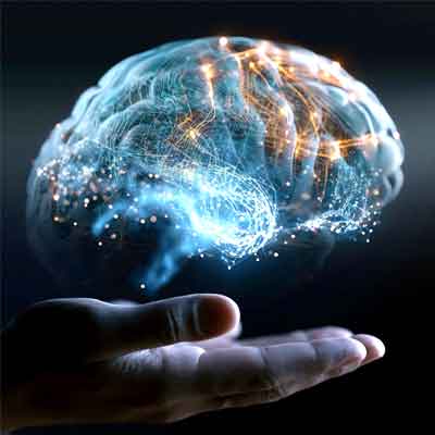 The Brain’s Speed Trick: Solving AI’s Efficiency Crisis with a Better Start