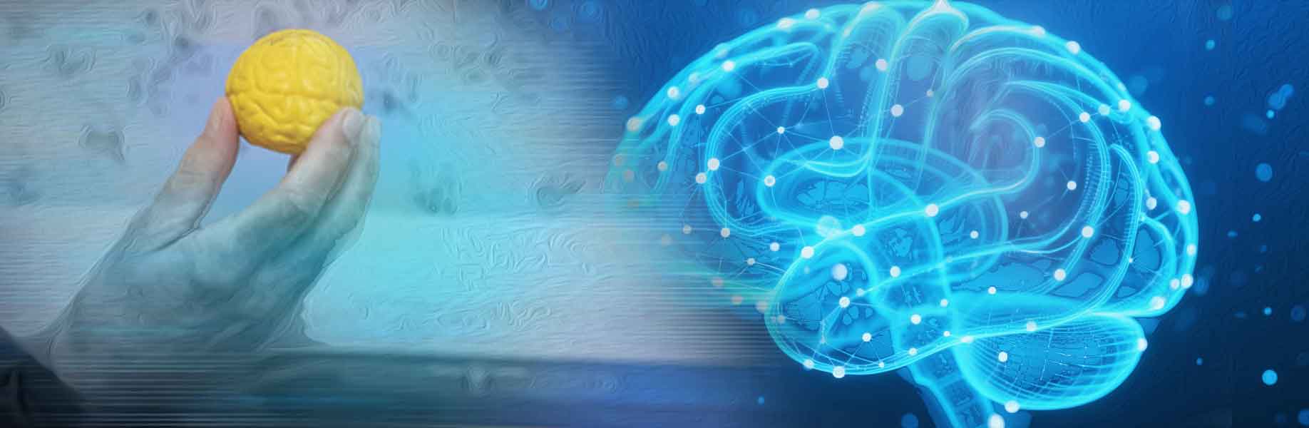 Brain-inspired AI model plans and solves problems with low energy use