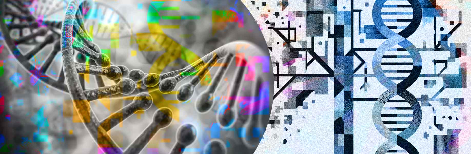 Evolving Smarter Programs Through Guided Genetic Search