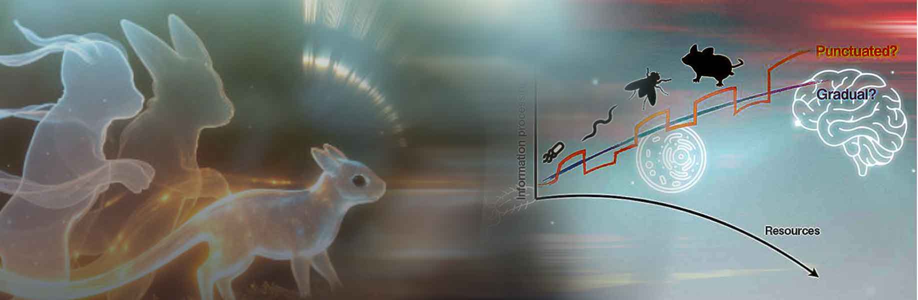 New theory explains when living organisms should use memory