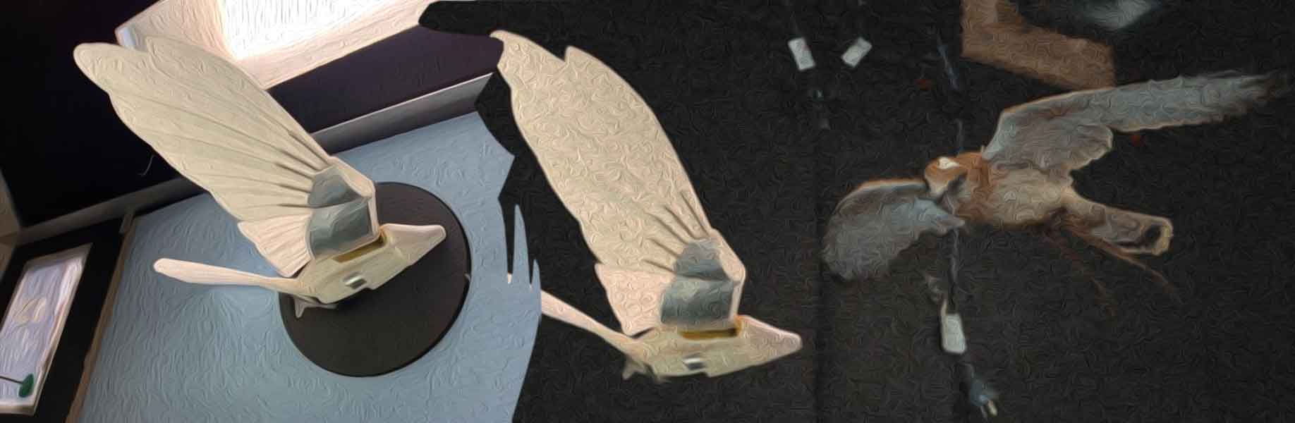 Robotic kestrel helps researchers improve small aircraft stability