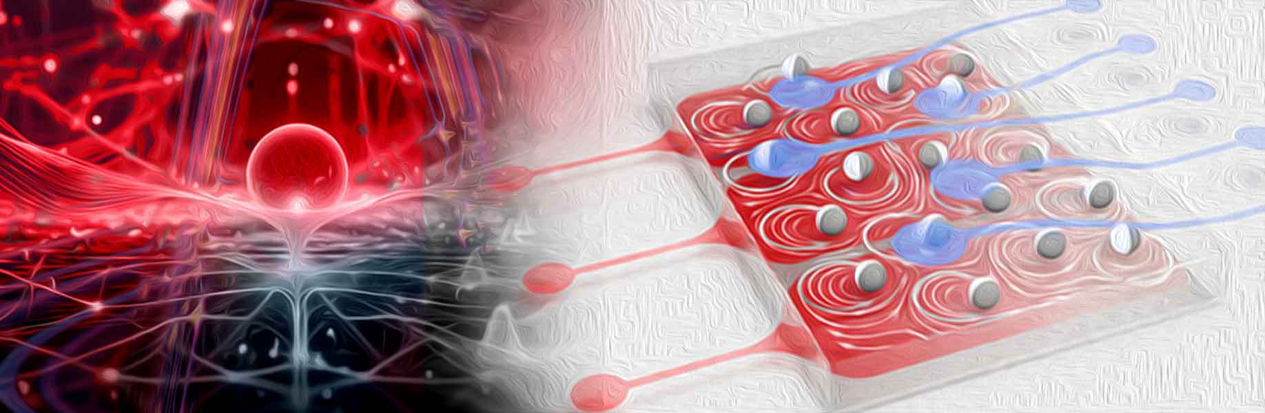 Scientists demonstrate computation with oscillating particles in liquid