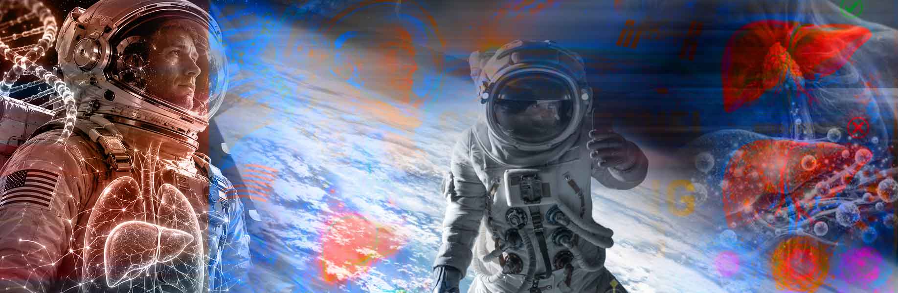 Space’s Aging Problem Has Moved to the Liver