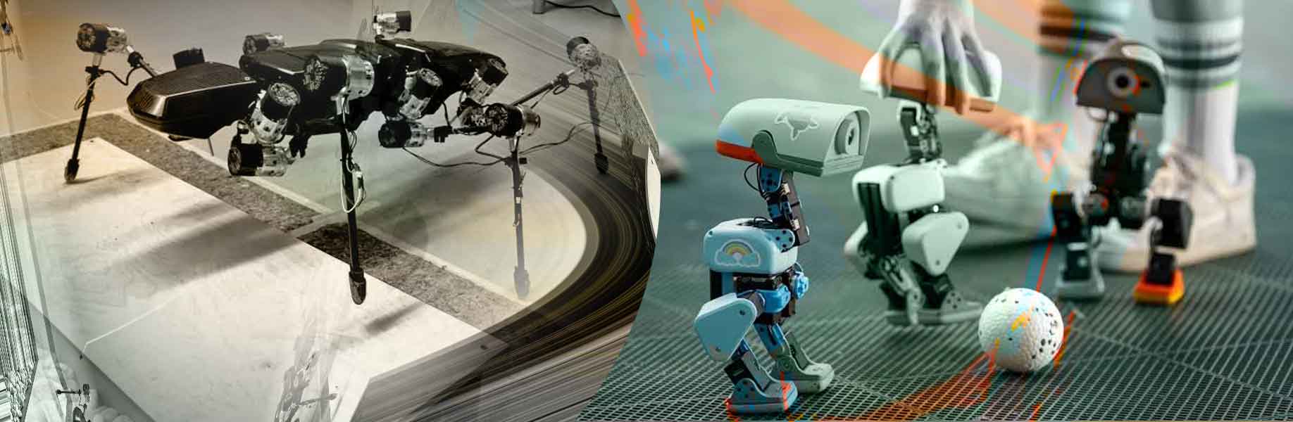 A six-legged robot learned to walk from a stick insect
