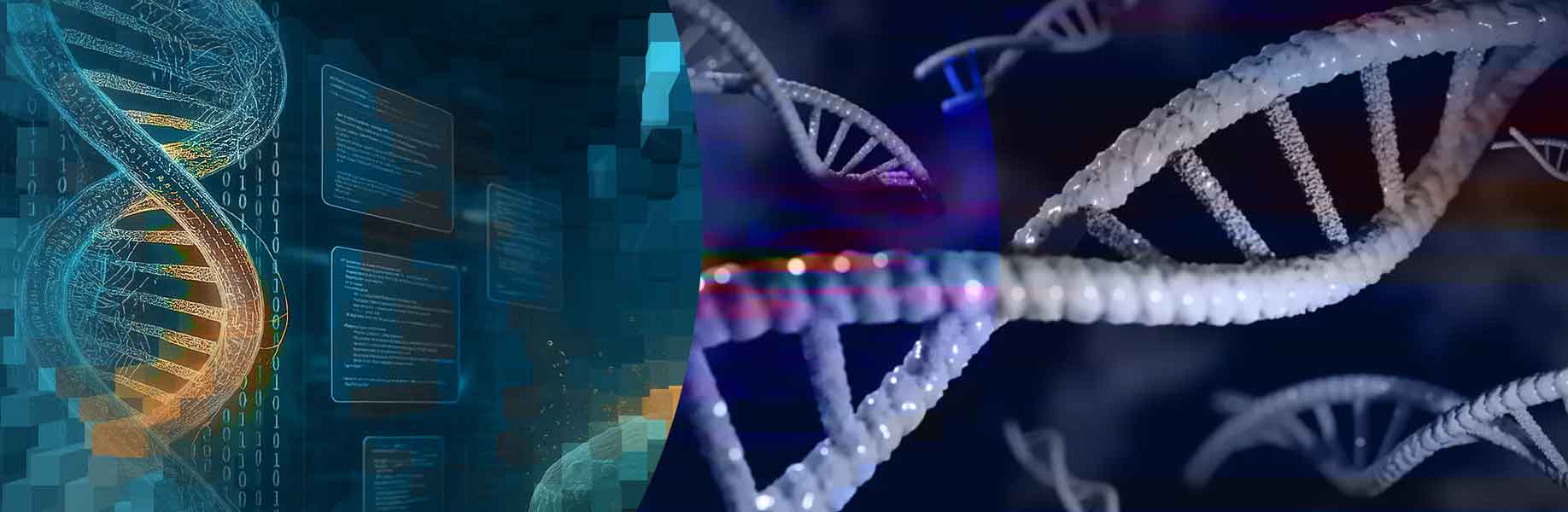 Artificial intelligence designs working bacteriophages that kill bacteria