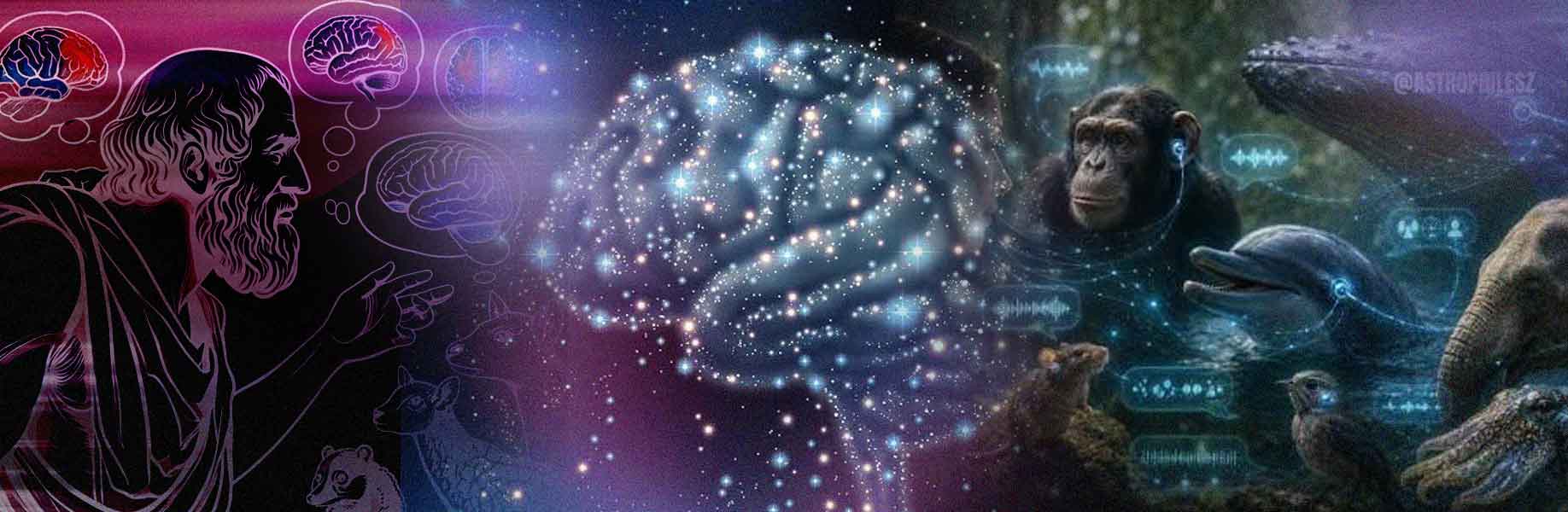 Teaching chatbots to deny consciousness also dulls their sense of animals, nature and God