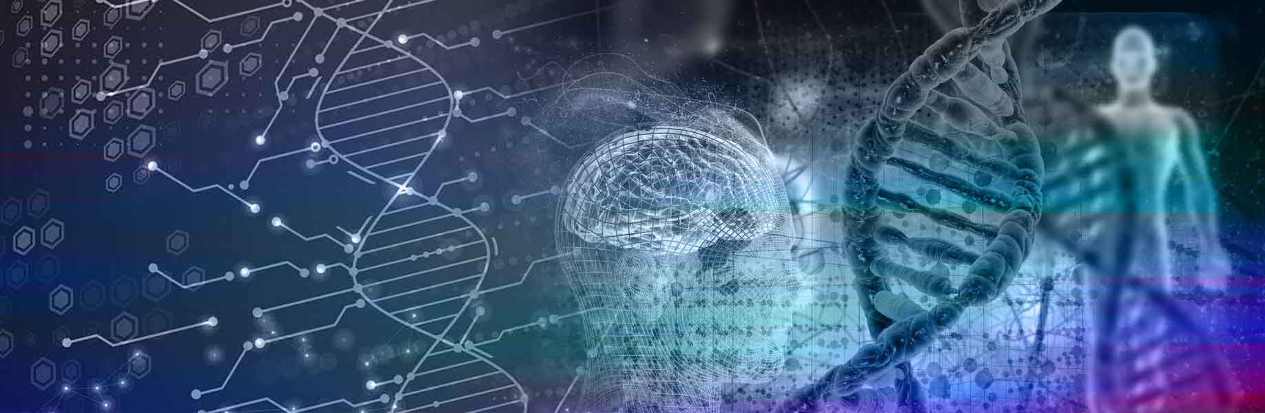 An AI model learns DNA by comparing genomes across species