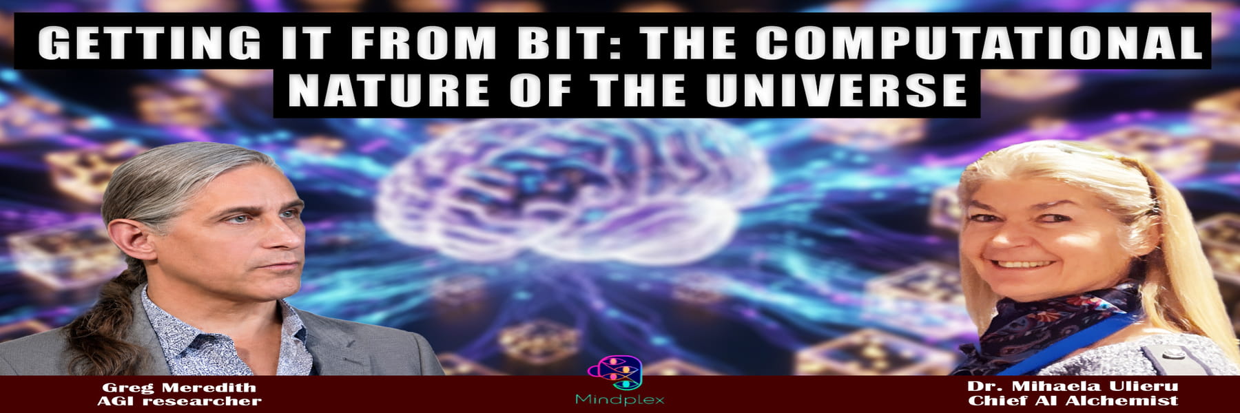 Getting It from Bit: The Computational Nature of the Universe