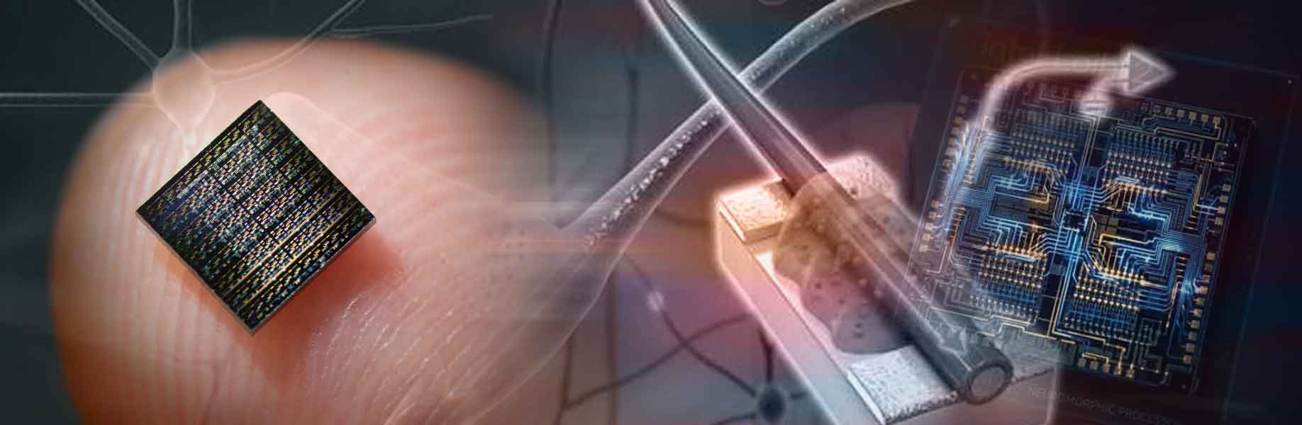 Printed chips that compute like synapses and then dissolve